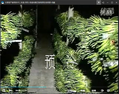 �����@�}ʹ����߮a(ch��n)---�����a�}��(chu��ng)�߮a(ch��n)